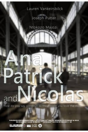 Poster Ana, Patrick and Nicolas 2013