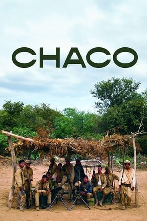 Poster Chaco 2020