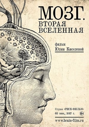 Poster Brain. Second Universe 2017