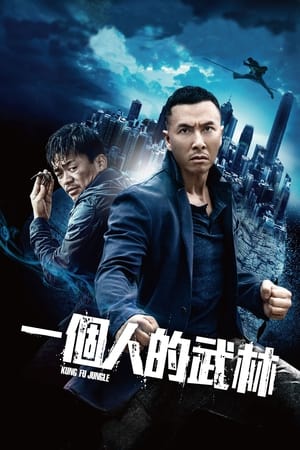 Poster Kung Fu Zabijak 2014
