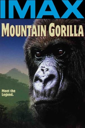 Poster Gorilas de la montaña 1992