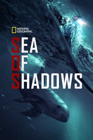Poster Sea of Shadows 2019