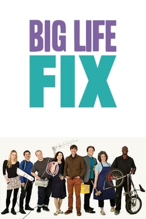 Poster The Big Life Fix 2016