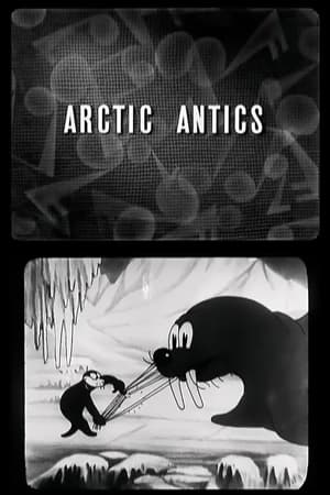 Image Arctic Antics