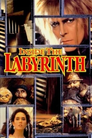 Poster Inside the Labyrinth 1986