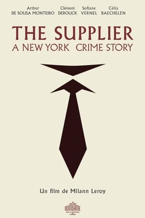 Image The Supplier : A New York crime story.