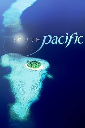 Poster South Pacific 2009