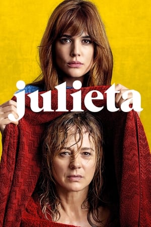 Poster Julieta 2016