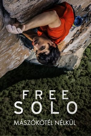 Poster Free Solo - Mászókötél nélkül 2018