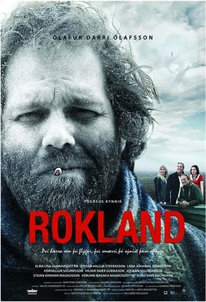 Poster Rokland 2011