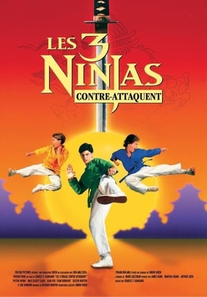 Image Ninja Kids 2 : Les 3 Ninjas contre-attaquent