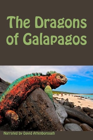 Poster The Dragons of Galapagos 1998