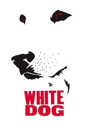 Image Белая собака