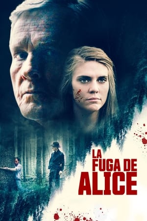 Image Alice Fades Away