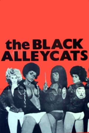 Image The Black Alley Cats