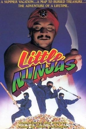 Image Little Ninjas