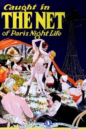 Poster The Net 1923