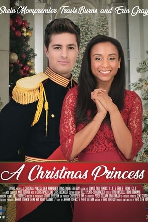 Poster A Christmas Princess 2019