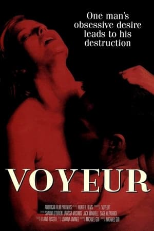 Poster Voyeur 1999