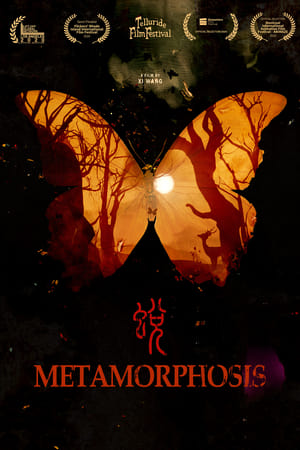 Poster Metamorphosis 2020