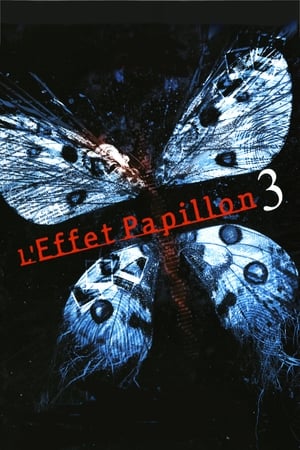 Poster L'Effet Papillon 3 2009
