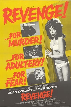 Poster Revenge 1971