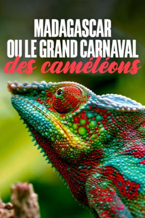Image Madagascar or the Great Carnival of the Cameleons