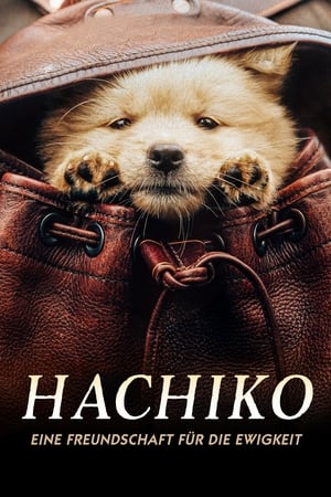 Poster Hachiko - Eine Freundschaft für die Ewigkeit 2023