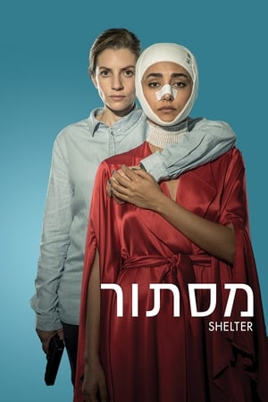Poster Shelter 2017
