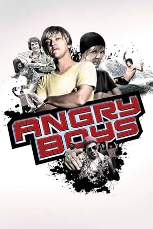 Poster Angry Boys 2011