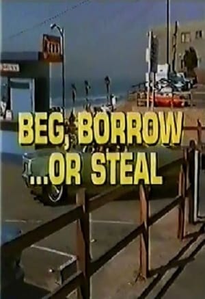 Poster Beg, Borrow...or Steal 1973