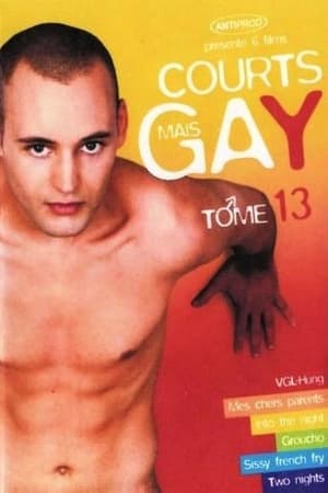Image Courts mais Gay : Tome 13