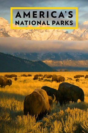 Poster America's National Parks 2015