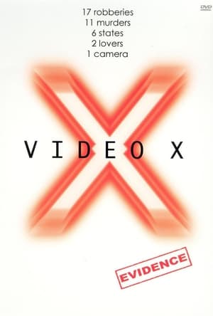 Poster Video X: Evidence 2003
