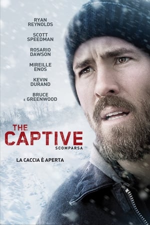 Poster The Captive: Scomparsa 2014