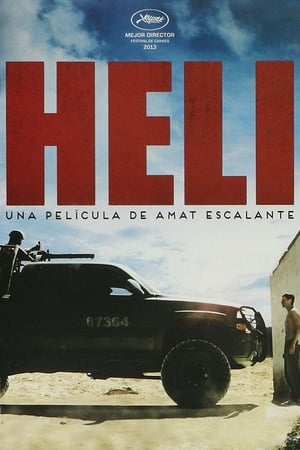 Poster Heli 2013
