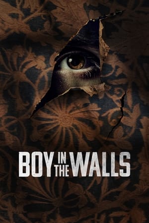 Image Boy in the Walls