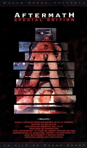 Poster 后果 1994