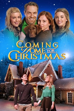 Poster Coming Home for Christmas 2013