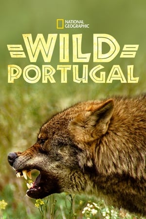 Poster Divoké Portugalsko 2020
