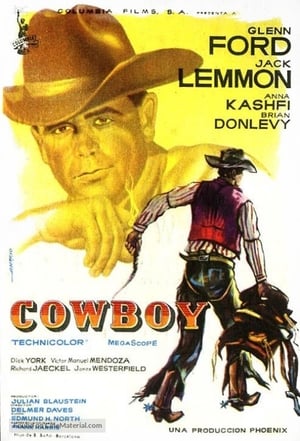 Image Cowboy
