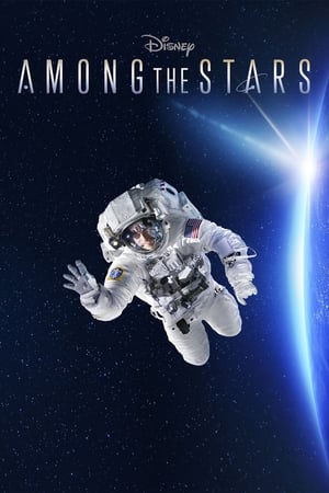 Poster Among the Stars 2021