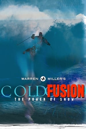 Poster Cold Fusion 2001