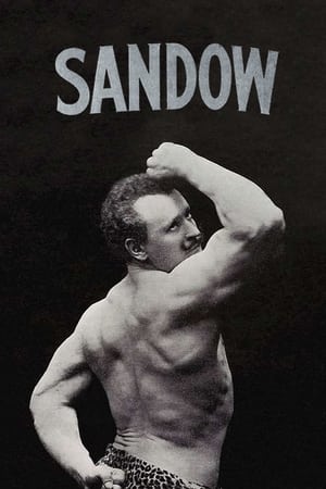 Poster Sandow 1896