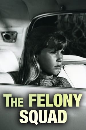 Poster Felony Squad 1966