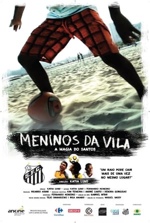 Poster Meninos da Vila, a Magia do Santos 2014