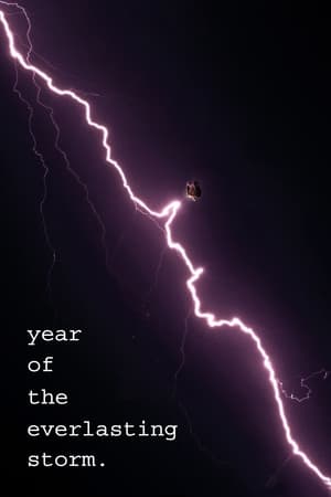 Poster The Year of the Everlasting Storm 2021