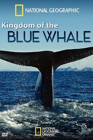 Image Kingdom of the Blue Whale