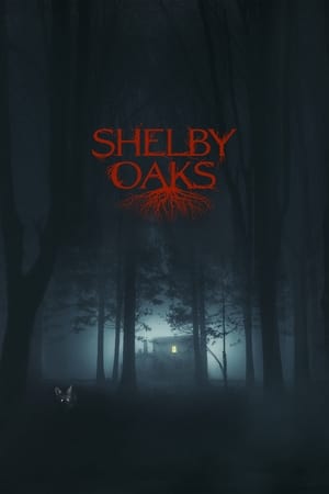 Poster Shelby Oaks 2024