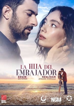 Poster La Hija del Embajador 2019